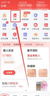 京东白条是什么意思怎么关闭