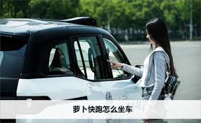 萝卜快跑如何下单打车