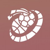 Fate of Phoenix