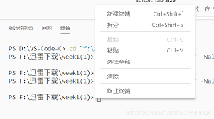 Visual Studio如何设置鼠标右键单击粘贴
