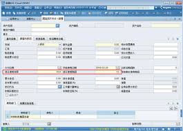 固定资产额如何启用