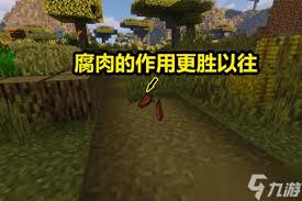 我的世界腐肉如何烧成皮革