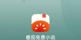 番茄免费小说网页版入口在哪