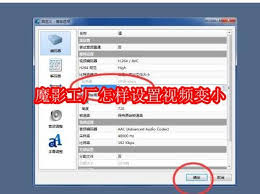 魔影工厂如何设置视频变小