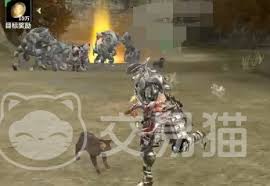 奇迹世界起源战士带什么宠物好