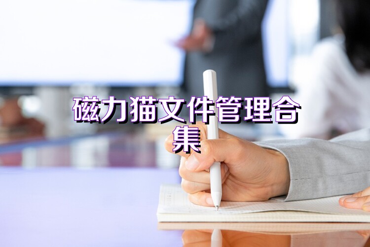 磁力猫文件管理合集