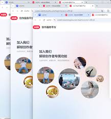 小红书IP代理登录异常如何切换白名单
