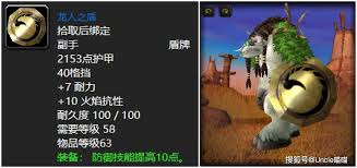 魔兽世界龙人盾和骨火哪个更具优势