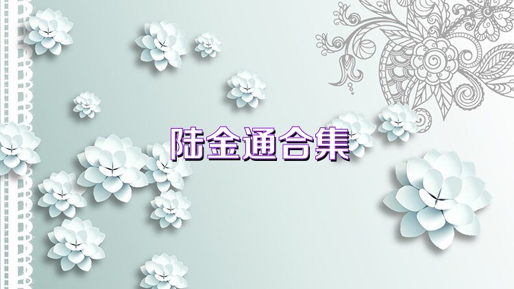 陆金通合集