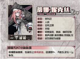 晴空之下蒂娜妮克丝适合用什么装备