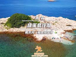 奇蛋生物水岛布局规划思路是什么