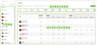 飞瓜数据如何查看抖音粉榜单