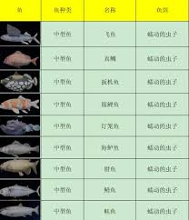 剑星钓鱼攻略详细介绍