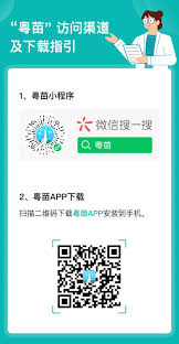 粤苗app如何查询预防接种证