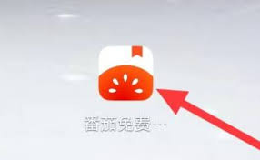 番茄小说如何查看影视小说热门标签