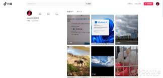 抖音网页版入口在哪