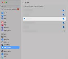 Lark视频会议卡顿怎么办