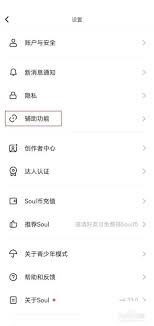 soul辅助聊天怎么使用