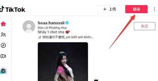 怎样进入TikTok网址