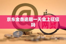 京东金条上征信吗
