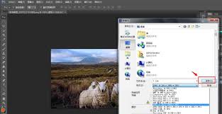 ps怎么设置照片导出色调一致 ps怎么调整滤镜清冷感
