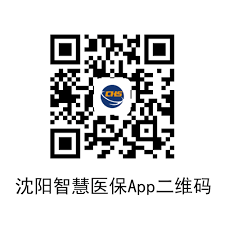 沈阳智慧医保家庭共济怎么用