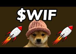 wif币未来潜力怎么样