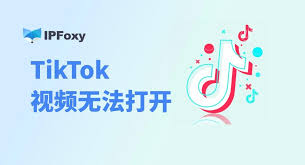 TikTok无法上传视频怎么办