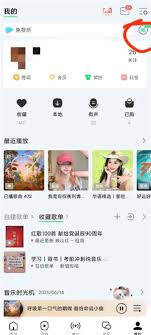 哪里能进入qq音乐演唱会直播回放