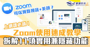 zoom怎么用