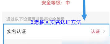 老柚如何进行实名认证