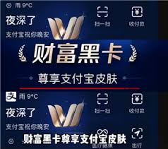 黑色支付宝代表着什么含义