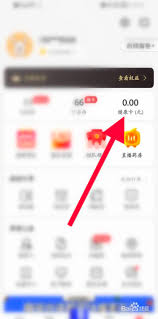 叮当快药app怎么用医保卡支付