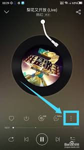 网易云音乐如何开启灯光闪烁功能