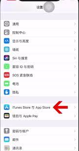 繁星剧场app如何取消自动续费