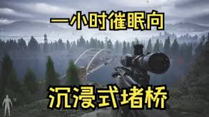 暗区突围如何获得无限沉浸式体验