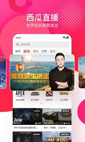 哪里能免费观看在线播放csgo大片