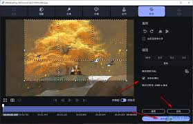 如何设置Movavi保存扩展日志