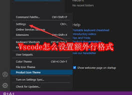 Vscode如何设置额外行格式