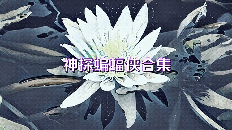 神探蝙蝠侠合集