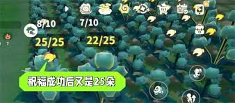 米姆米姆哈苍翠小花产量如何提升