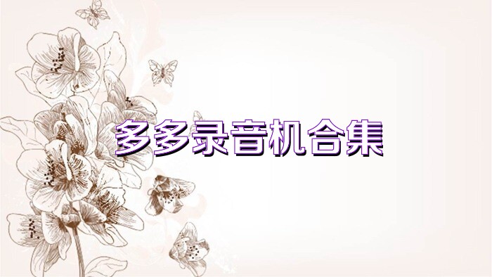 多多录音机合集