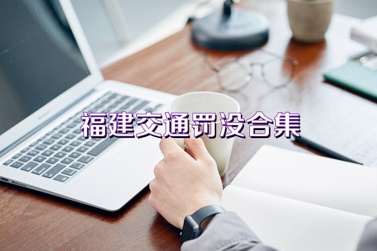 福建交通罚没合集