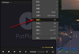 PotPlayer如何设置进度条显示时间