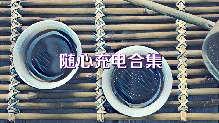 随心充电合集