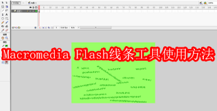 Macromedia Flash 8线条工具如何用