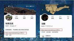 抖音怎么引流到微信