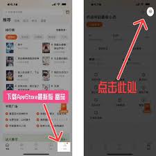 番茄小说如何去除广告