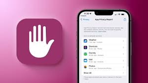 iPhone如何启用“App隐私报告”