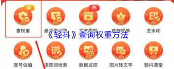 轻抖如何查询抖音权重
